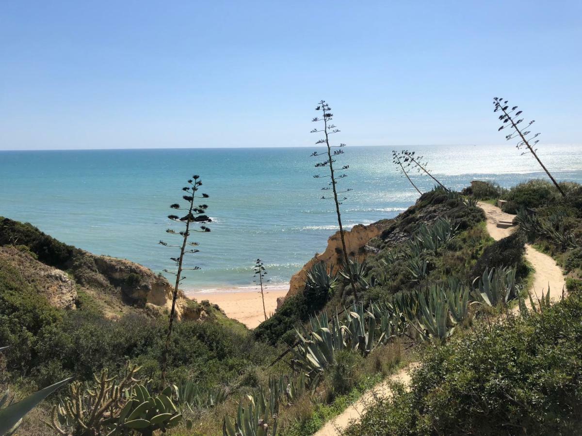 T3 Holiday Cottage Near The Beach | C225 Porches  Extérieur photo